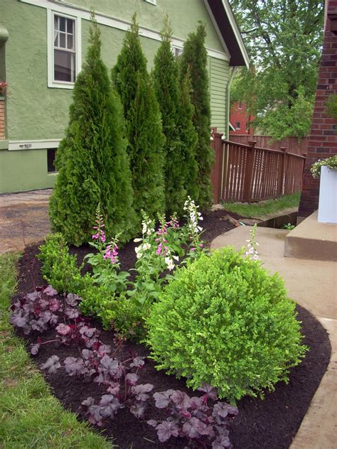 The fragrant colors range from purple, red, and orange to white, yellow, and pink flowers. Evergreen Borders for Landscaping | HGTV