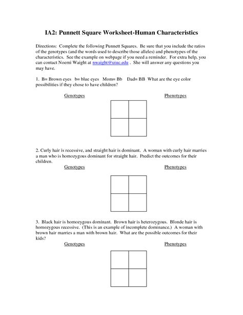Practice With Monohybrid Punnett Squares Worksheets Answer K