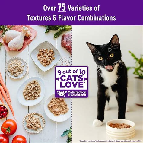 Cat Food For Urinary Health Top Picks For Optimal Feline Wellness