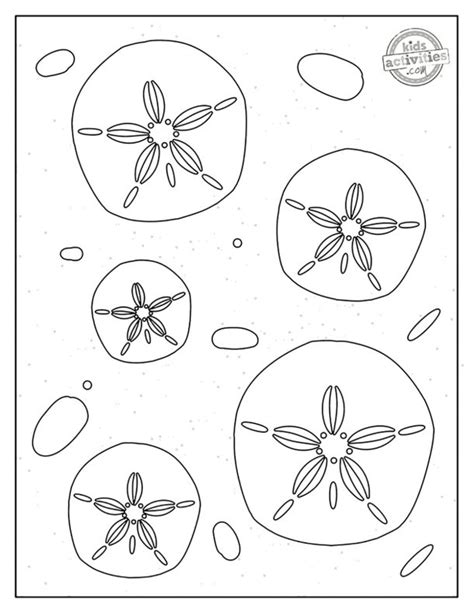 Best Ocean Sand Dollar Coloring Pages
