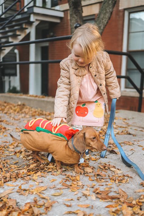 Hotdog Costume For Dogs A Happy Halloweenie Kelly In The City