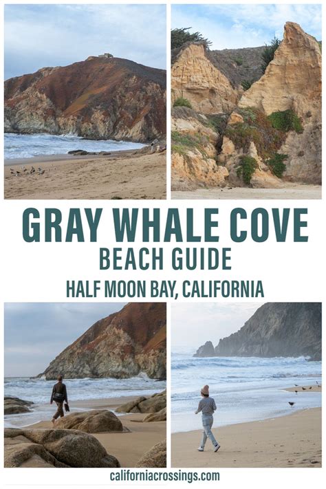 Gray Whale Cove State Beach Park Everything You Need To Know San