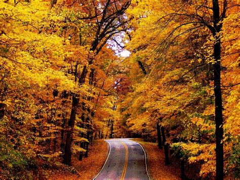 Autumn Fall Road Wallpapers Wallpaper Cave