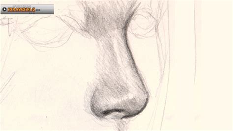 Make sure that you are sketching as lightly as possible. How to draw nose three quarter view