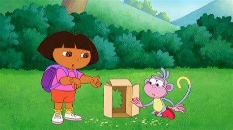 Watch Dora The Explorer Season 2 Episode 14 Rapido Tico Full Show On