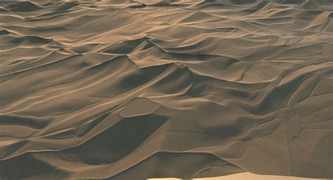 Desert Dunes Terrain Landscape 3d Model 79 Max Fbx Obj Ztl Free3d