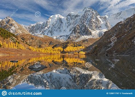 Altai Mountains Russia Siberia Stock Image Image Of Forest