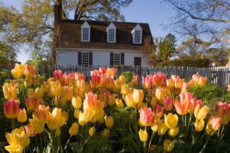 Springtime Amazing Gardens Garden Tours Colonial Williamsburg