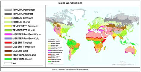 Biomes Of The World Maps Biomes World Map Map
