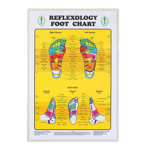 Relaxus Foot Reflexology Chart Halo Healthcare Solutions