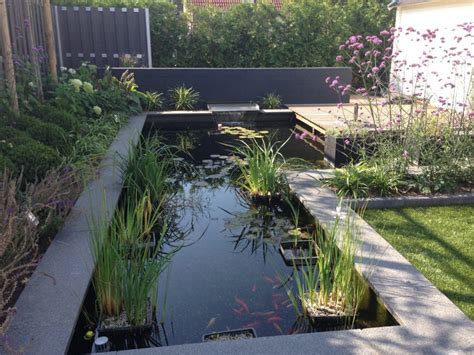 20 Beste Soorten Waterplanten Voor De Vijver Op Een Rijtje