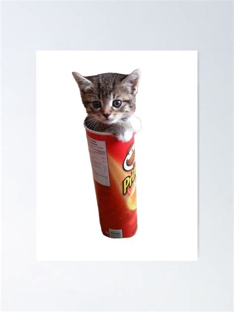 Cute Cat In Pringles Packaging Poster For Sale By Pusla Redbubble