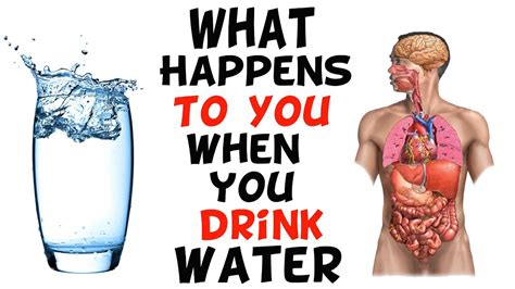 What Happens To You When You Drink Water Youtube