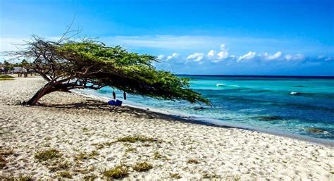 The 20 Best Things To Do In Aruba For Nature And History Lovers