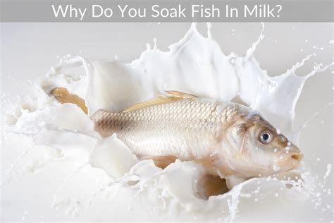 Why Do You Soak Fish In Milk