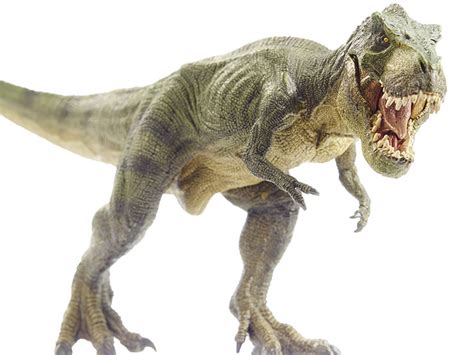 Today this game can be played unblocked. History For Kids: The Dinosaur Story - Learning Resources Blog