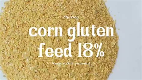 Low Price Corn Gluten Meal Feed 18 Protein Buy Corn Gluten Feed 18