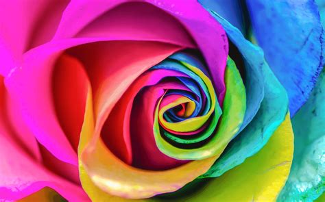 But people often confuse it. AskNow.com | Articles | Spirituality & Meaning | What Is ...