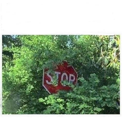 Hidden Stop Sign Meme Template Meme Template Stop Sign Signs