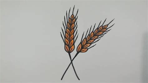 How To Draw Wheat Step By Step L Easy Drawing Tutorial Youtube