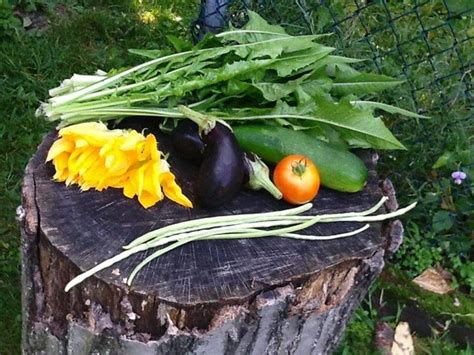 Sort of a tradition but definitely some years more. LA CASA E IL GIARDINO: The vegetable garden is priceless ...