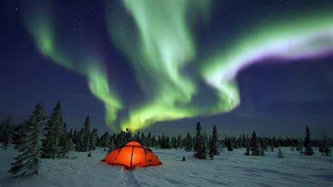 Aurora Borealis Over Winter Campground Hd Wallpaper Background Image