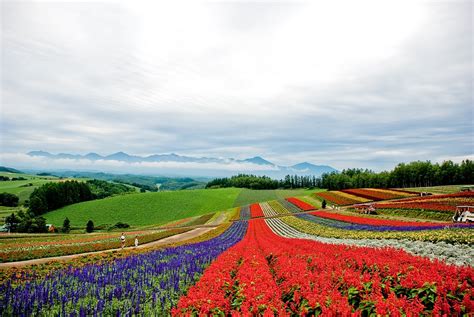 Panoramic Flower Gardens Shikisai No Oka Jj Ying Flickr