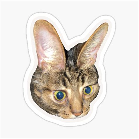 Im All Ears Peanut Sticker For Sale By Oldboypeanutt Redbubble