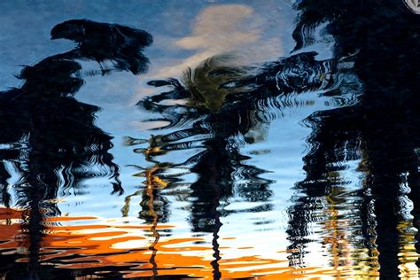 Reflection Of Trees On Ripple Water · Free Stock Photo