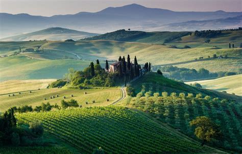 Tuscan Vineyard Wallpapers 4k Hd Tuscan Vineyard Backgrounds On