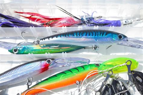 The 12 Best Bluefish Lures And How To Fish Them Saltwatermecca