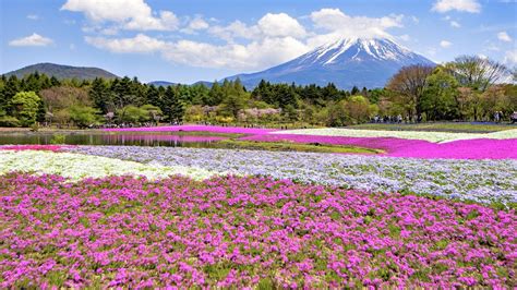 Download Japanese Landscapes, Tema per Windows 10