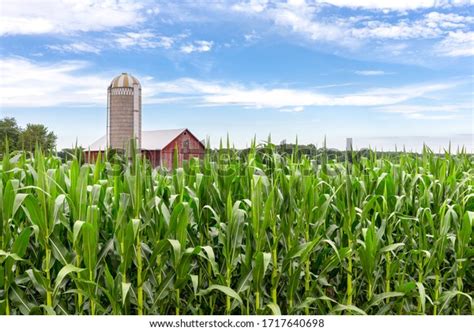 Classic Red Barn Silo Behind Field Stock Photo 1717640698 Shutterstock
