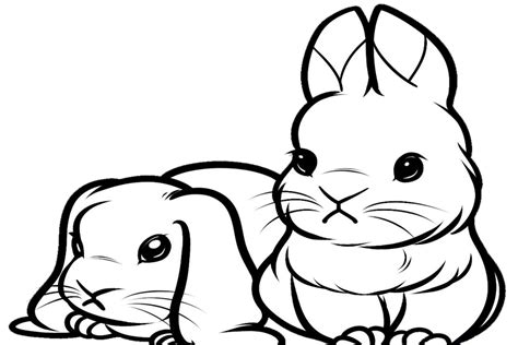 Cute Bunny Coloring Pages Realistic Coloring Pages