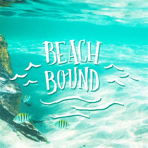 Oblong stones sink slow and sideways. Beach bound! | Beach, Summer of love, Beach quotes