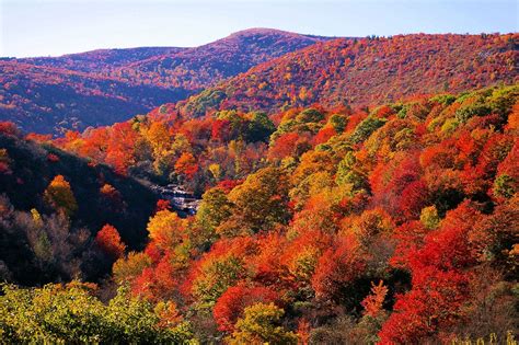 Fall Mountain In Appalachia Deborah Kristina Medium