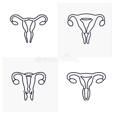 Set Of Female Reproductive Organs Logo Design Vector Template Organs