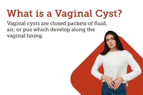 Vaginal Cyst Symptoms Causes Treatment And Cost