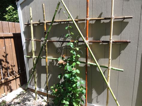 How To Build A Bamboo Trellis For Your Garden And Make Your Garden