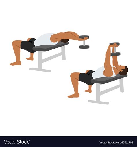 Man Doing Dumbbell Pullover Exercise Royalty Free Vector