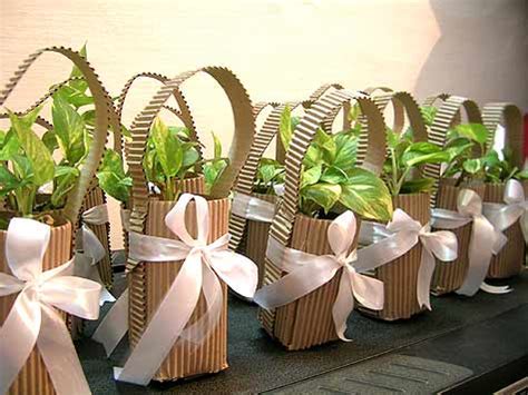 Plants Can Be Eco Friendly Return Gifts Green Corporate Gifting In