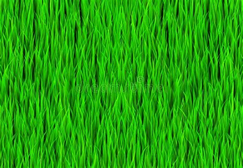 Green Grass Patch Background Stock Illustration Illustration Of