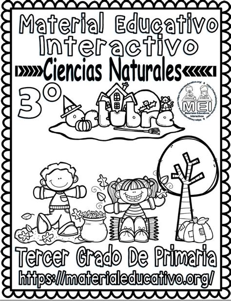 Ciencias Naturales Sep Tercer Grado Primaria Libros Favorito