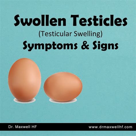 Swollen Testicles Testicular Swelling Symptoms Signs Nairaland