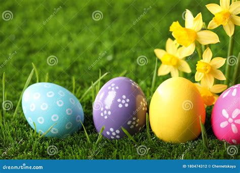 Colorful Easter Eggs And Daffodil Flowers In Grass Closeup Stock Photo
