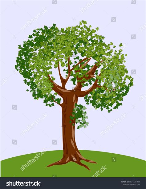 Old Branched Tree On Hilltop Vector Stock Vector Royalty Free