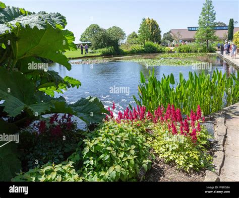 Royal Horticultural Society Gardens At Hyde Hall Essex England UK Upper Pond Stock Photo