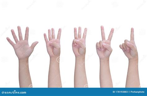 Children Hand Showing One To Five Fingers Count Isolated On White