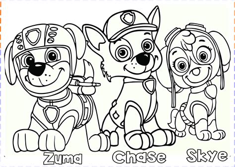 Paw Patrol Free Colouring Pages