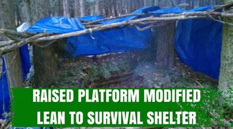The Raised Platform Modified Lean To Survival Shelter How It Works